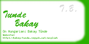 tunde bakay business card